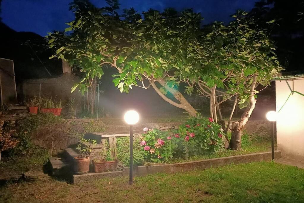 Da Zio Guido! Bussoleno Exterior foto